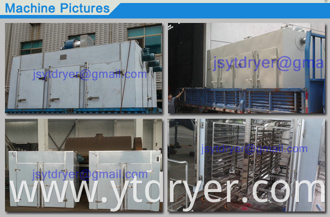 Capacitance hot air circulation drying oven